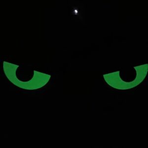 3d printed glowing eyes | light charging luminous decor | custom glow showpiece for room & bike